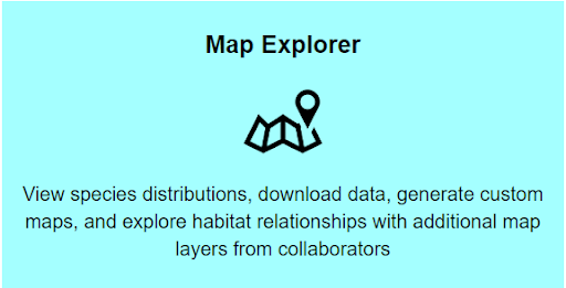 map explorer image